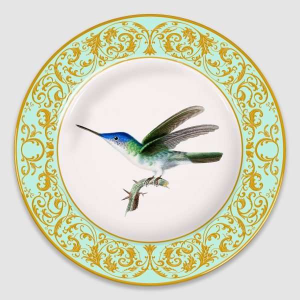 Colibri - Imagen 5